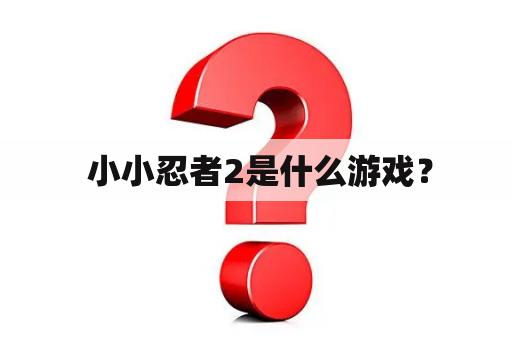  小小忍者2是什么游戏？