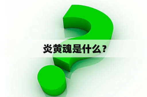  炎黄魂是什么？