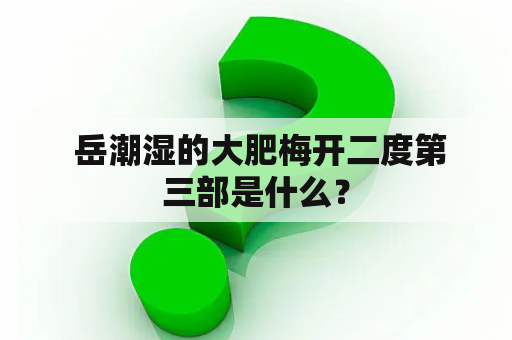  岳潮湿的大肥梅开二度第三部是什么？