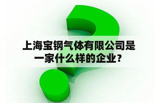  上海宝钢气体有限公司是一家什么样的企业？