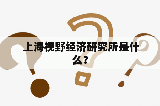  上海视野经济研究所是什么？