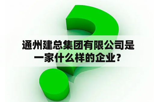  通州建总集团有限公司是一家什么样的企业？