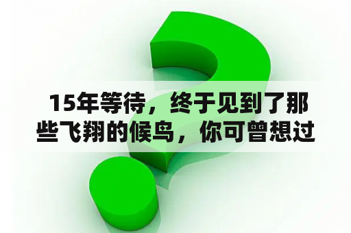  15年等待，终于见到了那些飞翔的候鸟，你可曾想过它们的故事？