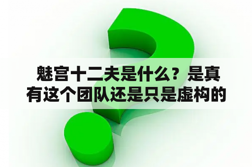  魅宫十二夫是什么？是真有这个团队还是只是虚构的？