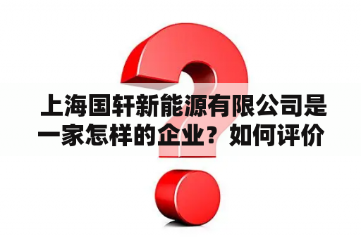  上海国轩新能源有限公司是一家怎样的企业？如何评价上海国轩新能源有限公司？