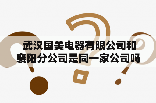  武汉国美电器有限公司和襄阳分公司是同一家公司吗？