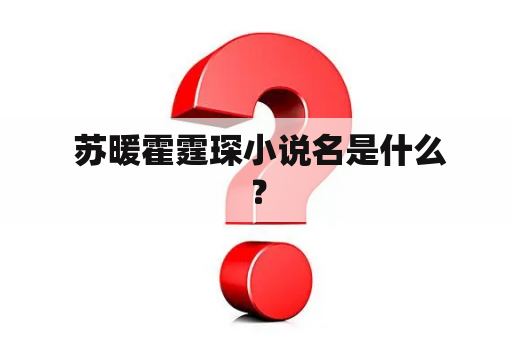  苏暖霍霆琛小说名是什么？