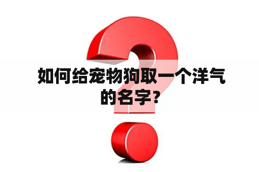  如何给宠物狗取一个洋气的名字？