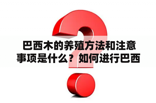  巴西木的养殖方法和注意事项是什么？如何进行巴西木的养殖？