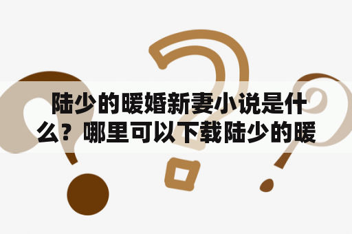 陆少的暖婚新妻小说是什么？哪里可以下载陆少的暖婚新妻小说TXT呢？