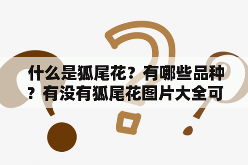  什么是狐尾花？有哪些品种？有没有狐尾花图片大全可供欣赏？