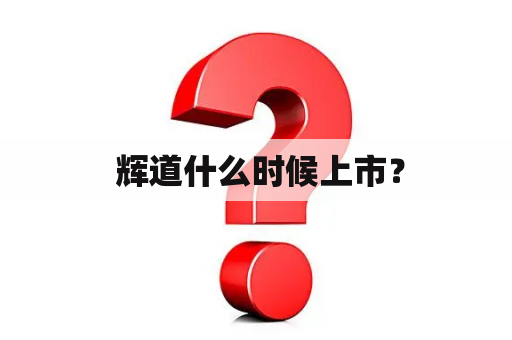 辉道什么时候上市？