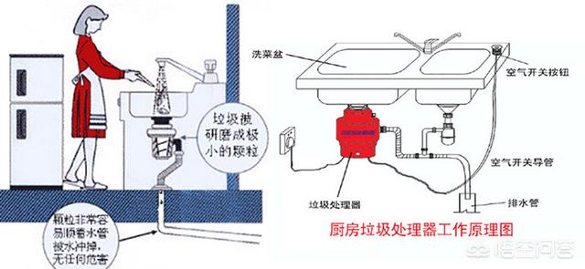 什么办法才能彻底消灭家里的蟑螂（提前声明我家是非常干净）？