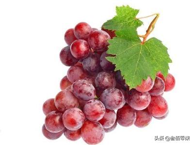 描写葡萄的古诗？