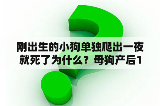 刚出生的小狗单独爬出一夜就死了为什么？母狗产后17天左右死了，小狗应该怎么办？