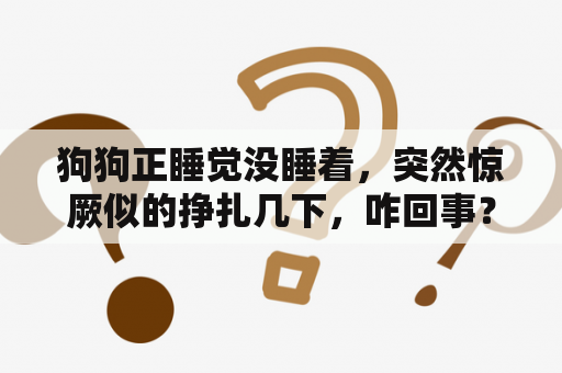 狗狗正睡觉没睡着，突然惊厥似的挣扎几下，咋回事？梦见鞭炮声把我惊醒