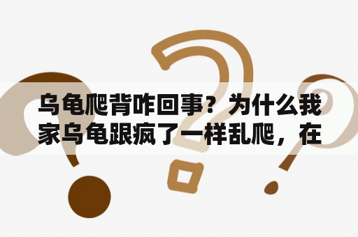 乌龟爬背咋回事？为什么我家乌龟跟疯了一样乱爬，在水里面一直游？