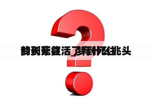 梦到死往
的长辈复活_梦到死往
的长辈复活了有什么兆头
