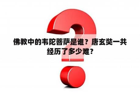 佛教中的韦陀菩萨是谁？唐玄奘一共经历了多少难？