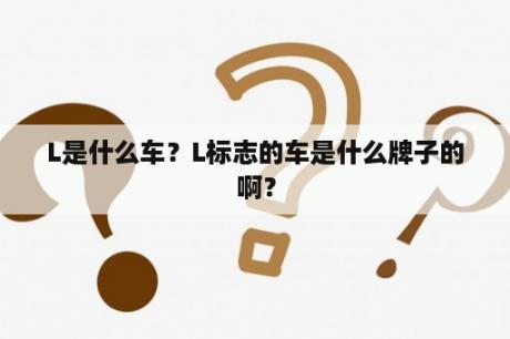 L是什么车？L标志的车是什么牌子的啊？