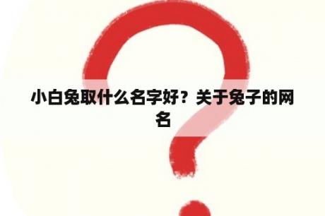 小白兔取什么名字好？关于兔子的网名