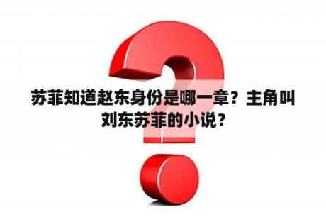 苏菲知道赵东身份是哪一章？主角叫刘东苏菲的小说？