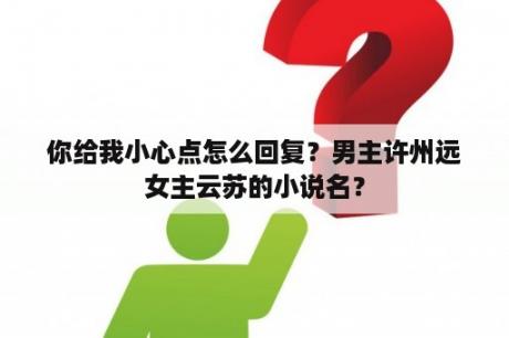 你给我小心点怎么回复？男主许州远女主云苏的小说名？