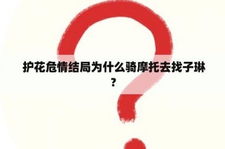  护花危情结局为什么骑摩托去找子琳？