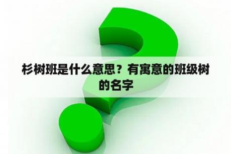 杉树班是什么意思？有寓意的班级树的名字