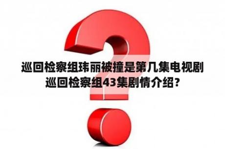 巡回检察组玮丽被撞是第几集电视剧巡回检察组43集剧情介绍？