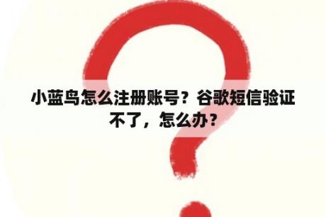 小蓝鸟怎么注册账号？谷歌短信验证不了，怎么办？