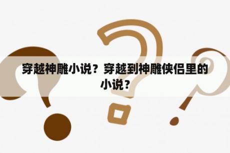 穿越神雕小说？穿越到神雕侠侣里的小说？