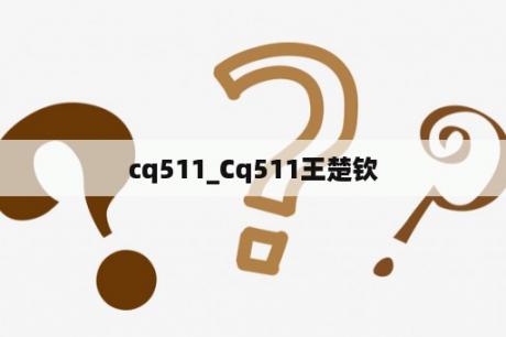 cq511_Cq511王楚钦