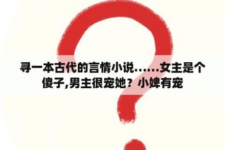 寻一本古代的言情小说……女主是个傻子,男主很宠她？小婢有宠