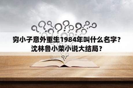 穷小子意外重生1984年叫什么名字？沈林鲁小荣小说大结局？