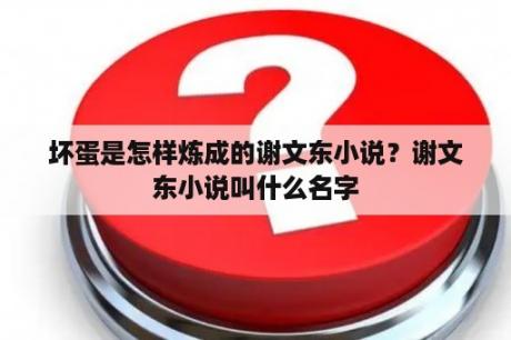 坏蛋是怎样炼成的谢文东小说？谢文东小说叫什么名字