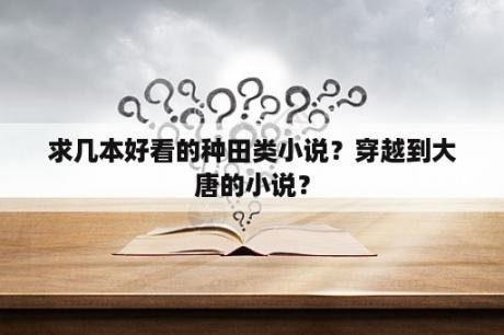 求几本好看的种田类小说？穿越到大唐的小说？