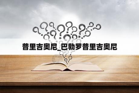 普里吉奥尼_巴勃罗普里吉奥尼
