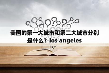 美国的第一大城市和第二大城市分别是什么？los angeles