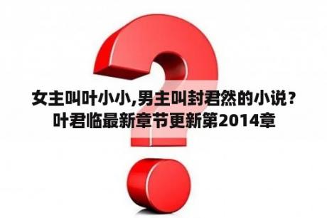 女主叫叶小小,男主叫封君然的小说？叶君临最新章节更新第2014章