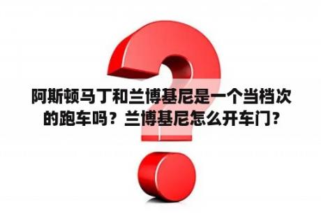 阿斯顿马丁和兰博基尼是一个当档次的跑车吗？兰博基尼怎么开车门？