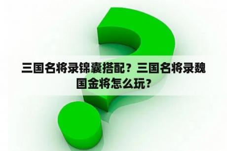 三国名将录锦囊搭配？三国名将录魏国金将怎么玩？