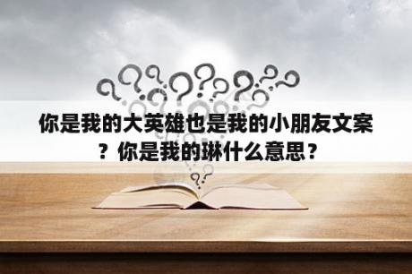 你是我的大英雄也是我的小朋友文案？你是我的琳什么意思？