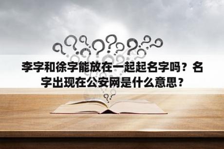 李字和徐字能放在一起起名字吗？名字出现在公安网是什么意思？