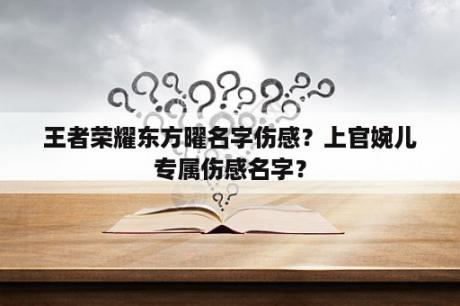 王者荣耀东方曜名字伤感？上官婉儿专属伤感名字？