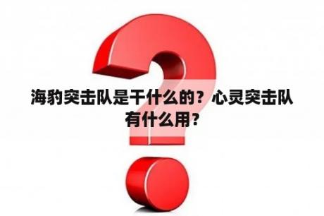 海豹突击队是干什么的？心灵突击队有什么用？