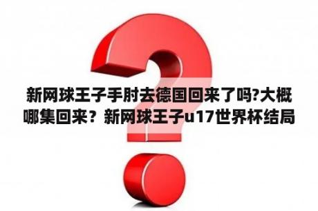 新网球王子手肘去德国回来了吗?大概哪集回来？新网球王子u17世界杯结局是谁赢了？