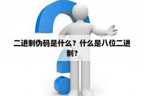 二进制伪码是什么？什么是八位二进制？