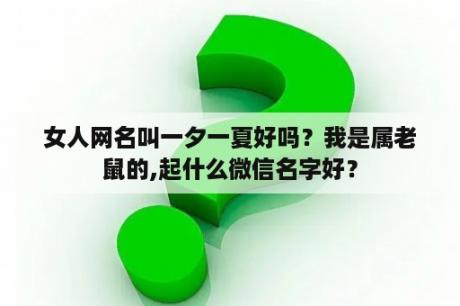 女人网名叫一夕一夏好吗？我是属老鼠的,起什么微信名字好？