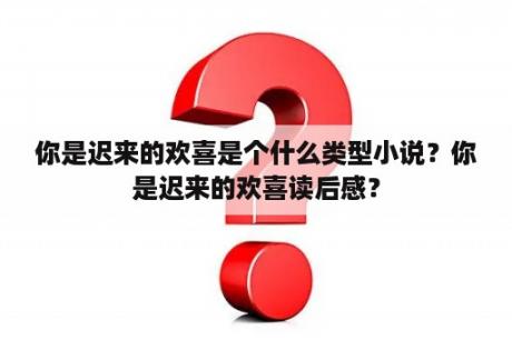 你是迟来的欢喜是个什么类型小说？你是迟来的欢喜读后感？